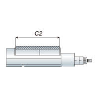 C2.jpg